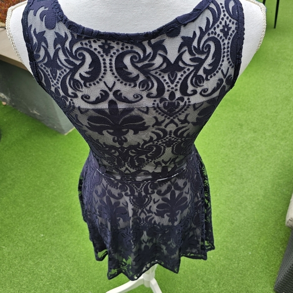 SALLY MILLER Victorian Vibes Dress Silky Silver Lining Deep Blue Sheer Velvet - Picture 7 of 17